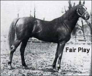 Man o' War's sire