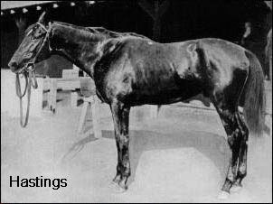 Fair Play's sire, Hastings